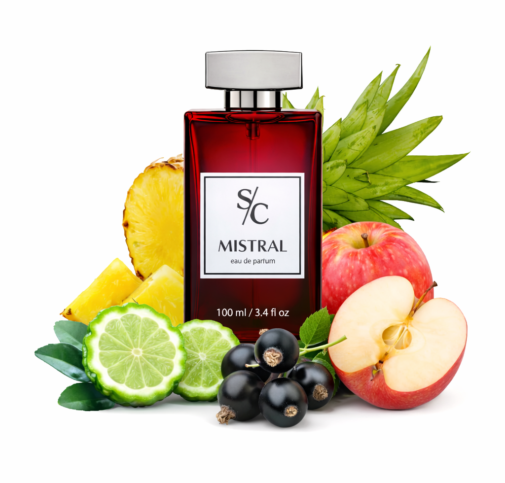 Mistral - For Men 100ML